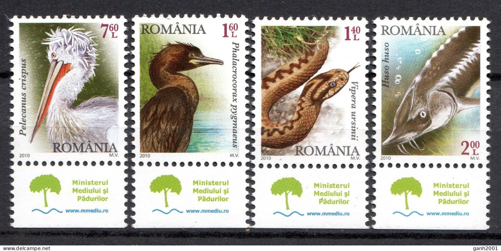 Romania 2010 Rumanía / Birds Fishes Reptiles MNH Aves Peces Vögel Fische Reptilien / Cu21450  40-38 - Sonstige & Ohne Zuordnung