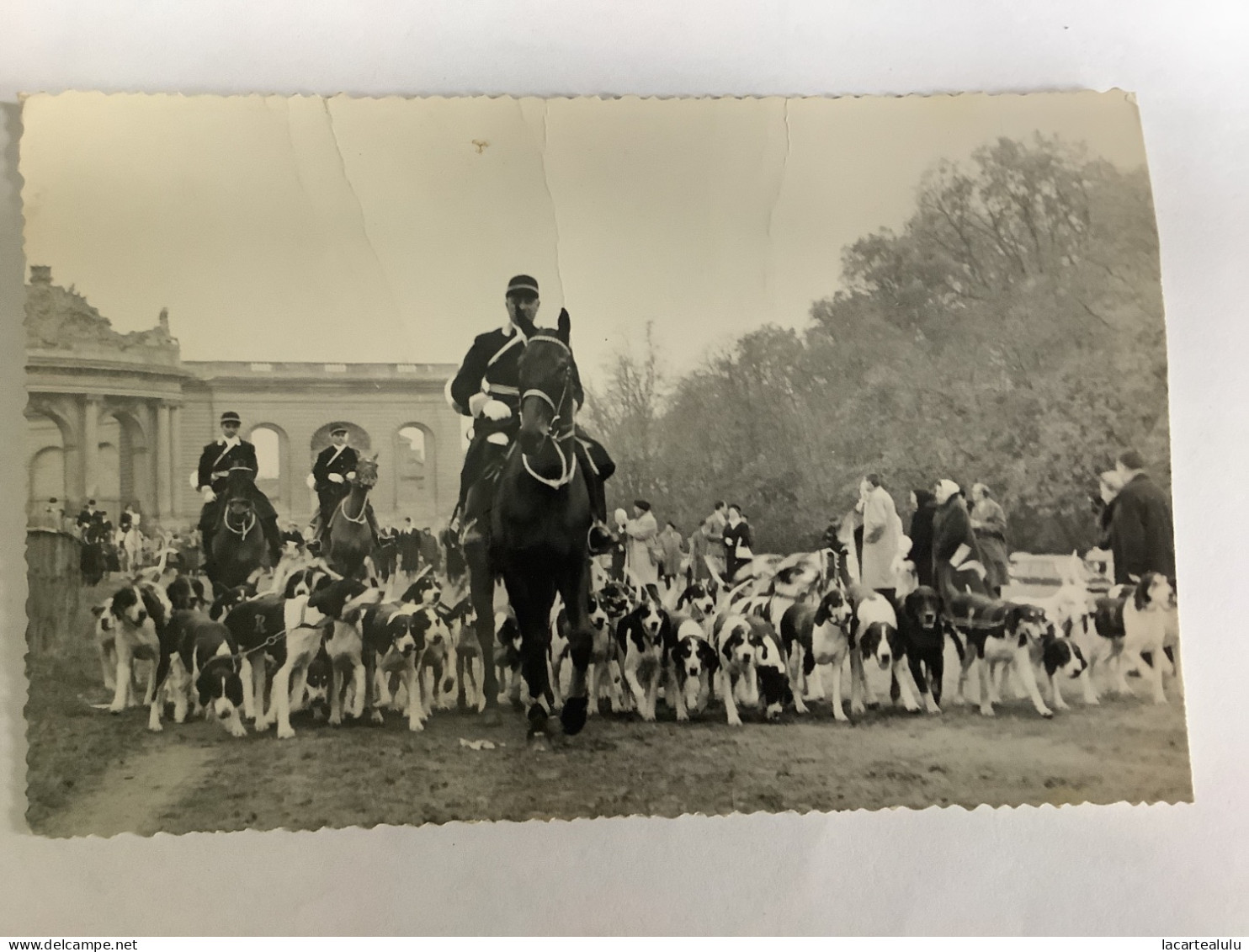 Chasse à Courre - Chasse