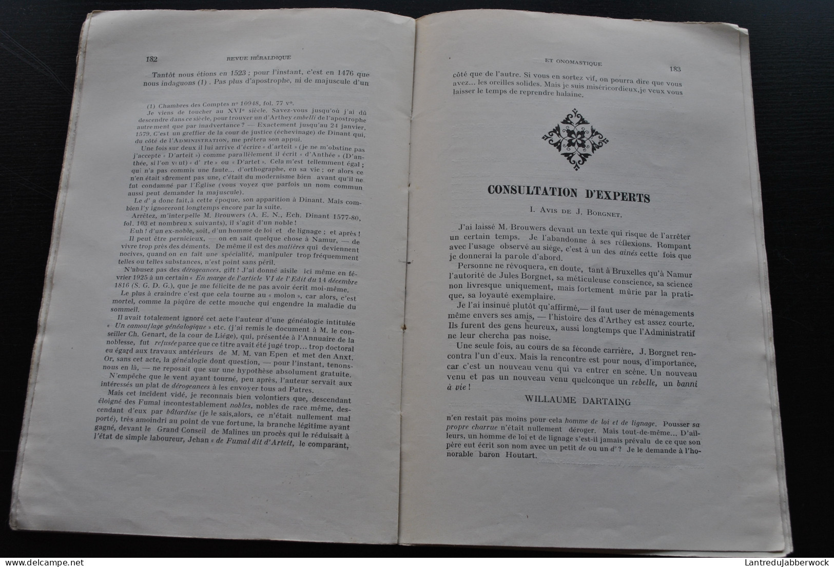 La Revue Héraldique Et Onomastique N°9-10 1929 Particule élidée D'Arthey DARTEY Hartaing Hartains Floridor Et Célestin - Geschichte