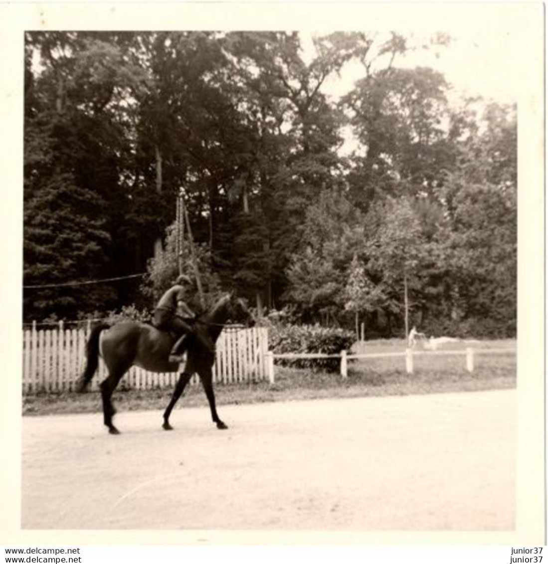 Photo Cavalière Avec Son Cheval à Cuissai , Le Haras Du Pin En 1964 - Anonymous Persons