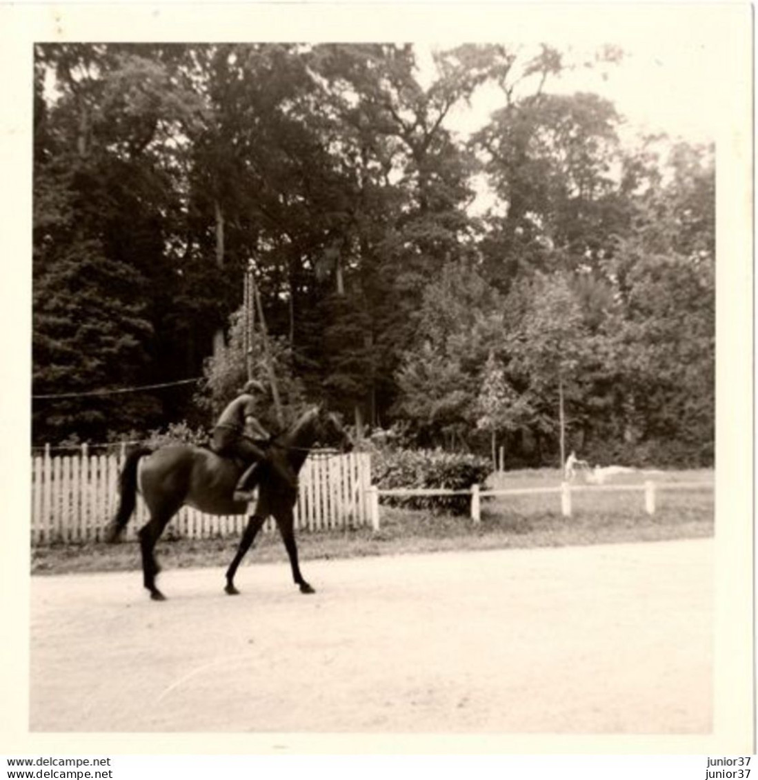 Photo Cavalière Avec Son Cheval à Cuissai , Le Haras Du Pin En 1964 - Personnes Anonymes