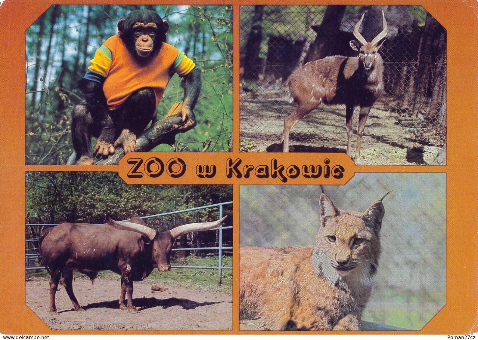 ZOO Krakow, Poland - Chimpanzee, Sitatunga, Watusi, Lynx - Polen