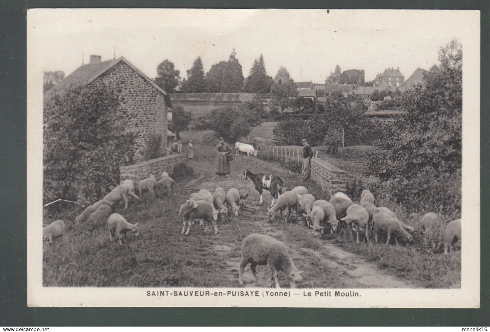 CP - 89 - Saint-Sauveur-en-Puisaye - Le Petit-Moulin - Saint Sauveur En Puisaye