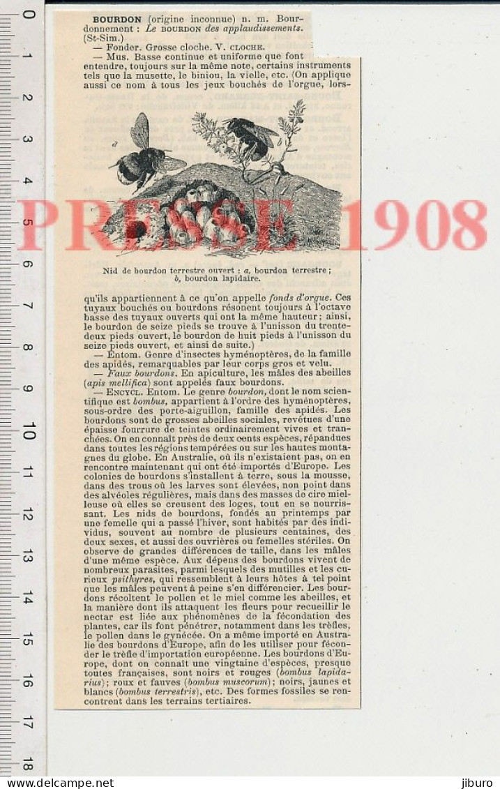 2 Vues Doc 1908 Nid De Bourdons Insecte Bourdon + Bourganeuf Creuse 23 Louis-Albert Bourgault-Ducoudray Musique 222C1 - Ohne Zuordnung