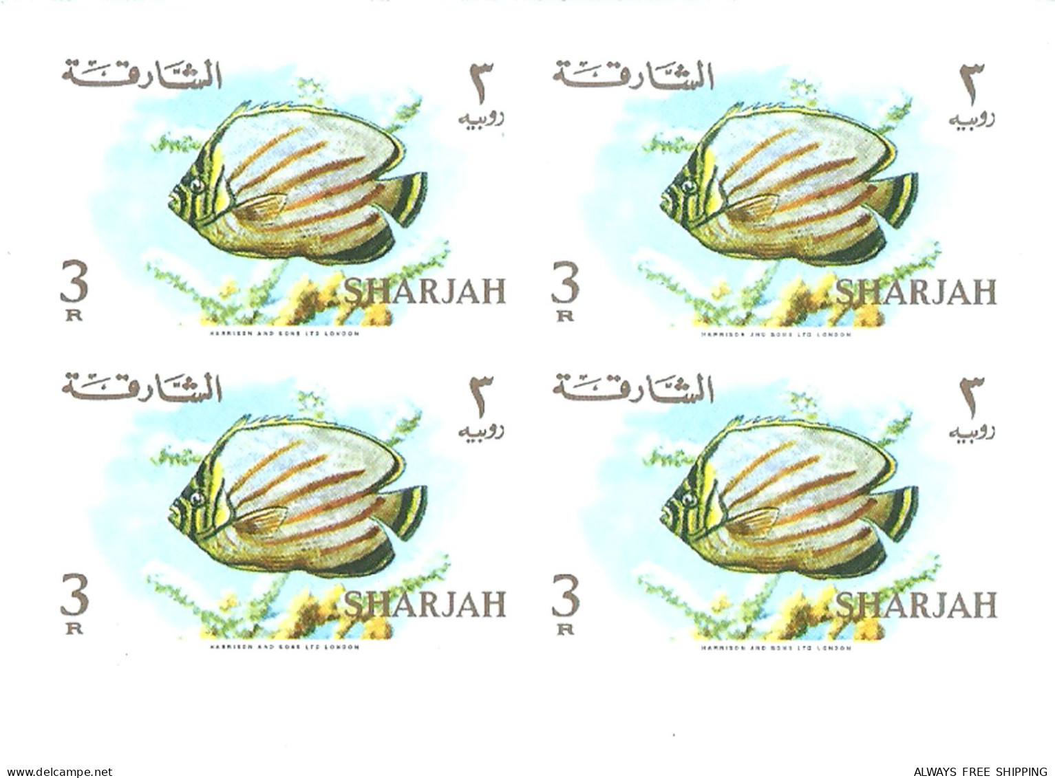 1966 UAE United Arab Emirates Fish Coral Seashell Marine Life - Complete Set 17 Imperforated Blocs Proofs Essays MNH