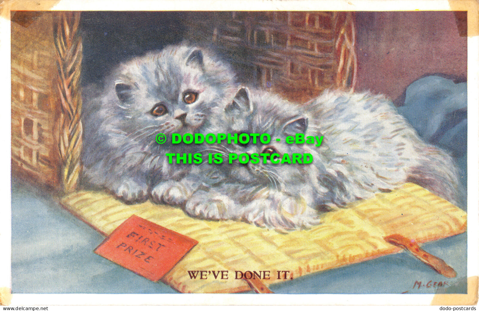 R526603 We Ve Done It. Valentine. Cat And Kitten Series. Mabel Gear - Welt