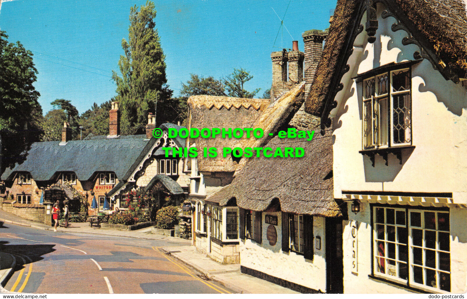 R526604 I. W. Shanklin Old Village. Nigh - Welt