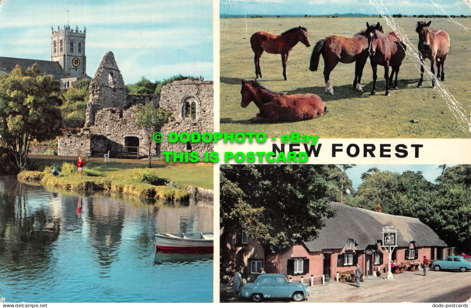 R527096 New Forest. Christchurch Priory. New Forest Ponies And The Cat And Fiddl - Welt