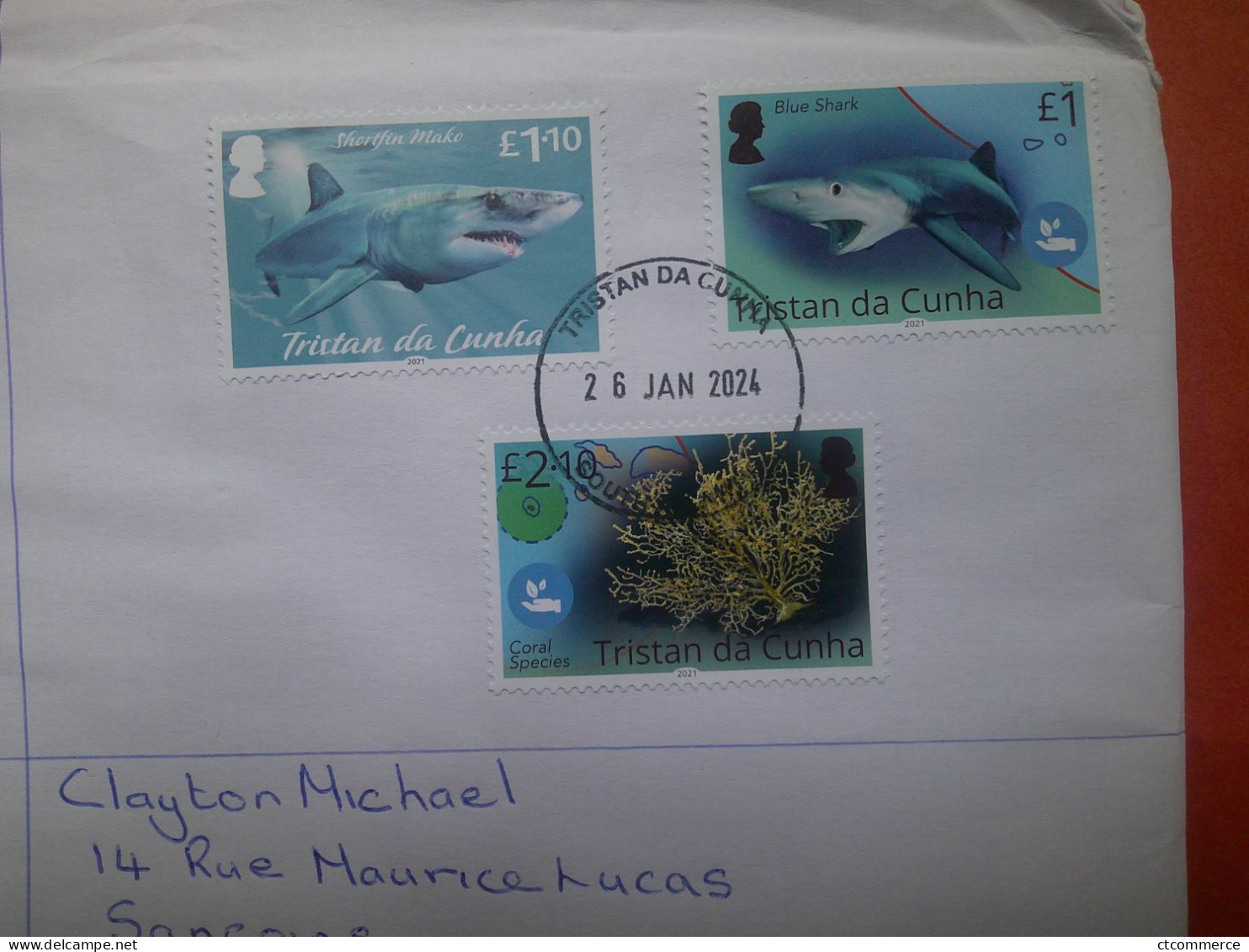 Tristan Da Cunha Enveloppe, Shotfin Maco, Blue Shark, Coral Species - Tristan Da Cunha