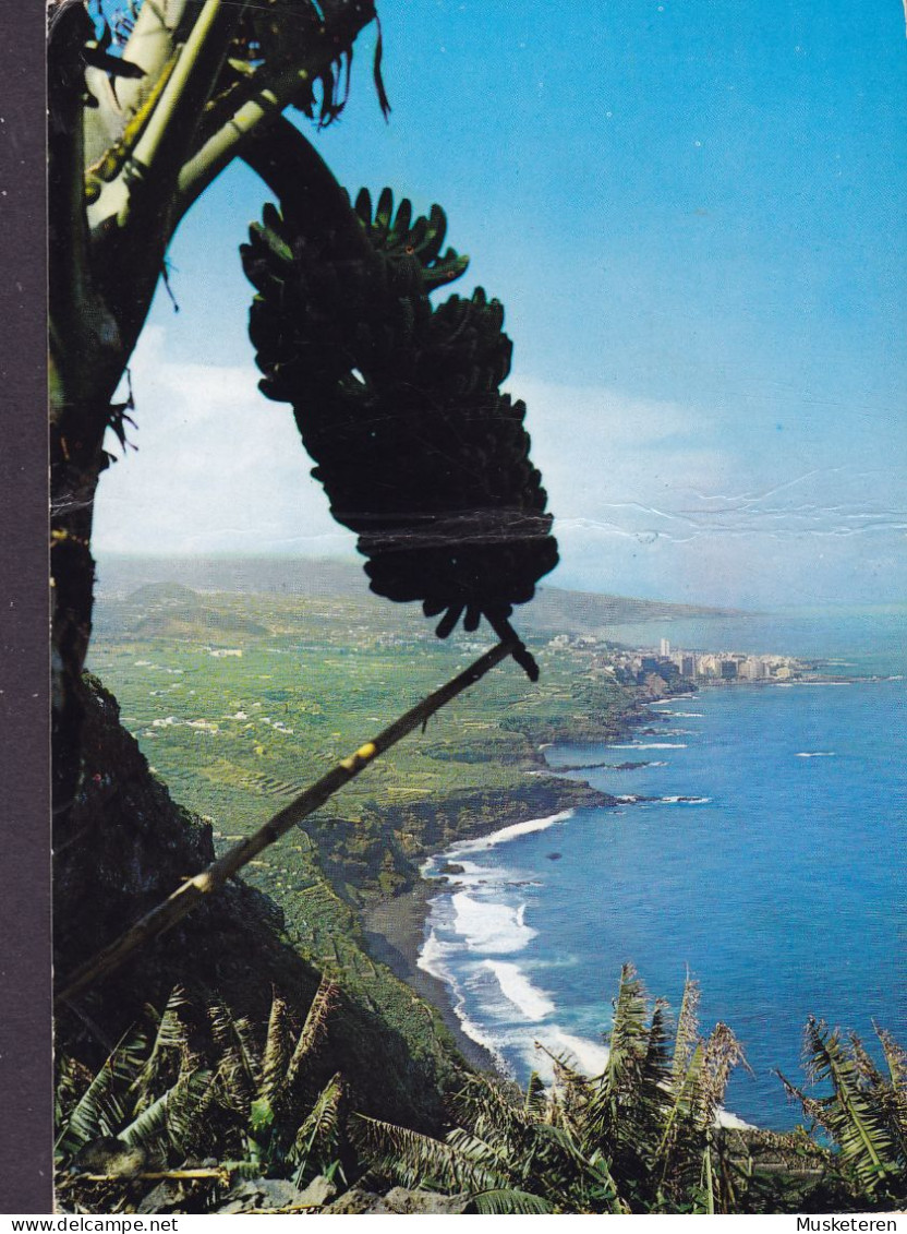 Spain PPC Tenerife Banana Trees On The Coastal Side PORTE DE LA CRUZ 1971 KGS. LYNGBY Denmark (2 Scans) - Tenerife