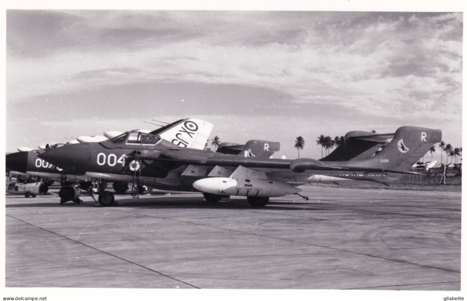 Photo Originale - Aviation - Militaria - Avion De Havilland Sea Vixen-  FAW 1 - ROYAL NAVY - Aviación