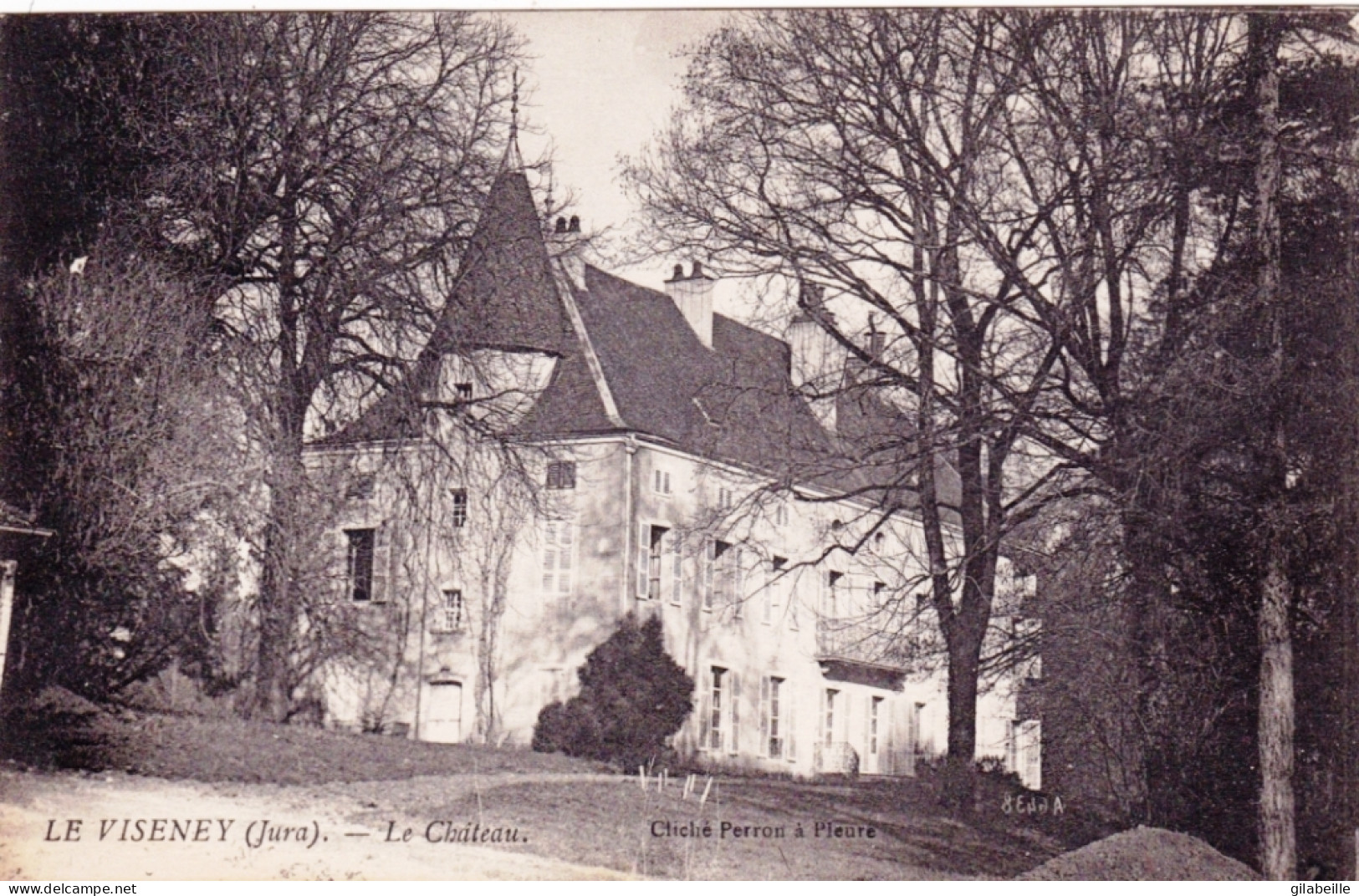 39 - Jura -  LE VISENEY ( Bersaillin ) - Le Chateau - Andere & Zonder Classificatie