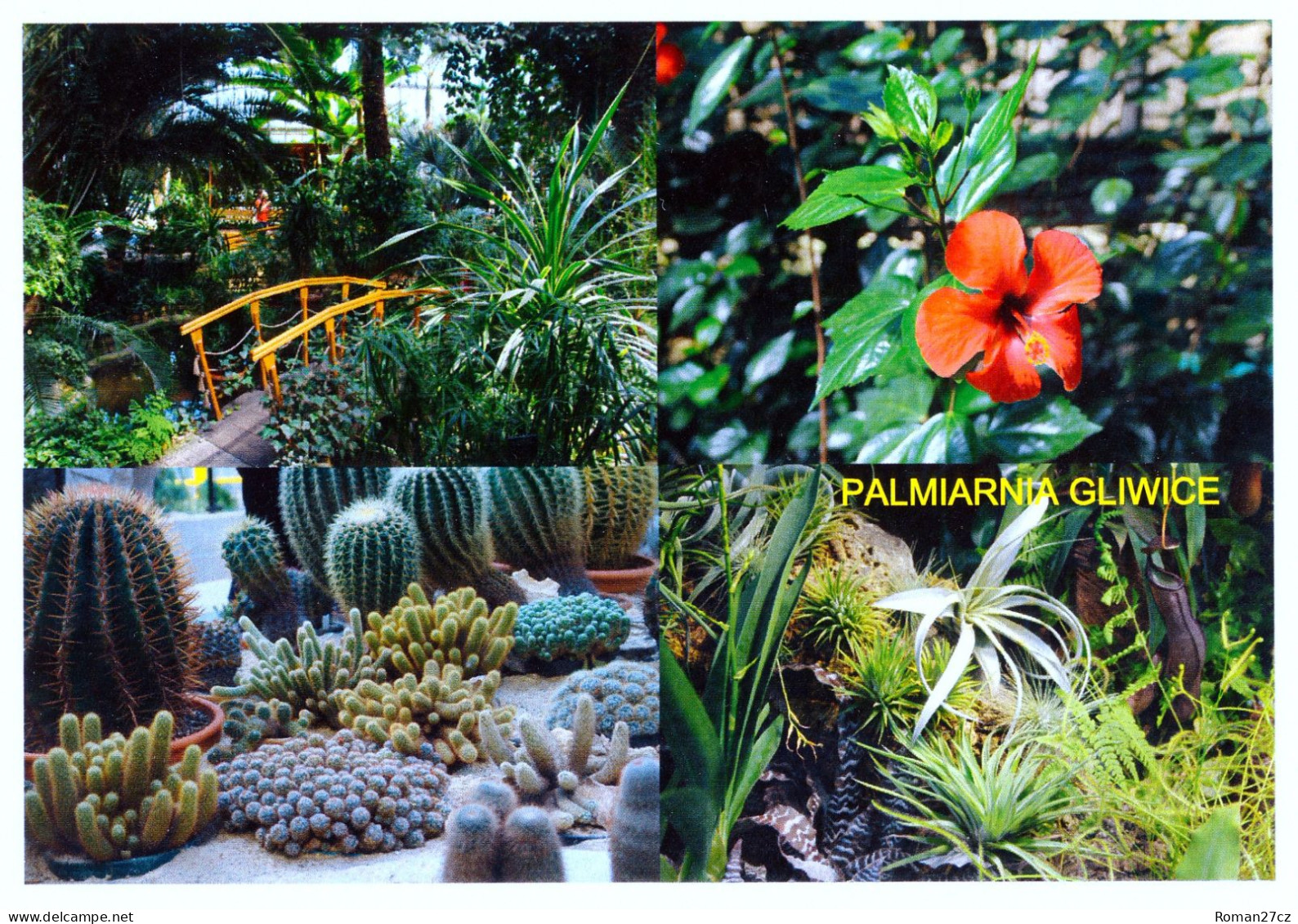 Palmiarnia Gliwice, PL - Plants, Cacti, Hibiscus, Flowers - Pologne