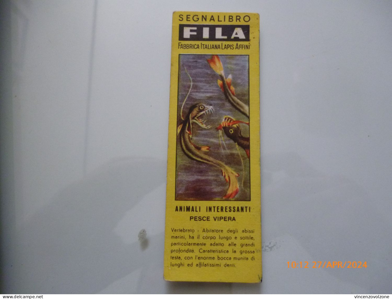 Segnalibro "FILA PIRATI ANIMALI INTERESSANTI Pesce Vipera" - Bookmarks