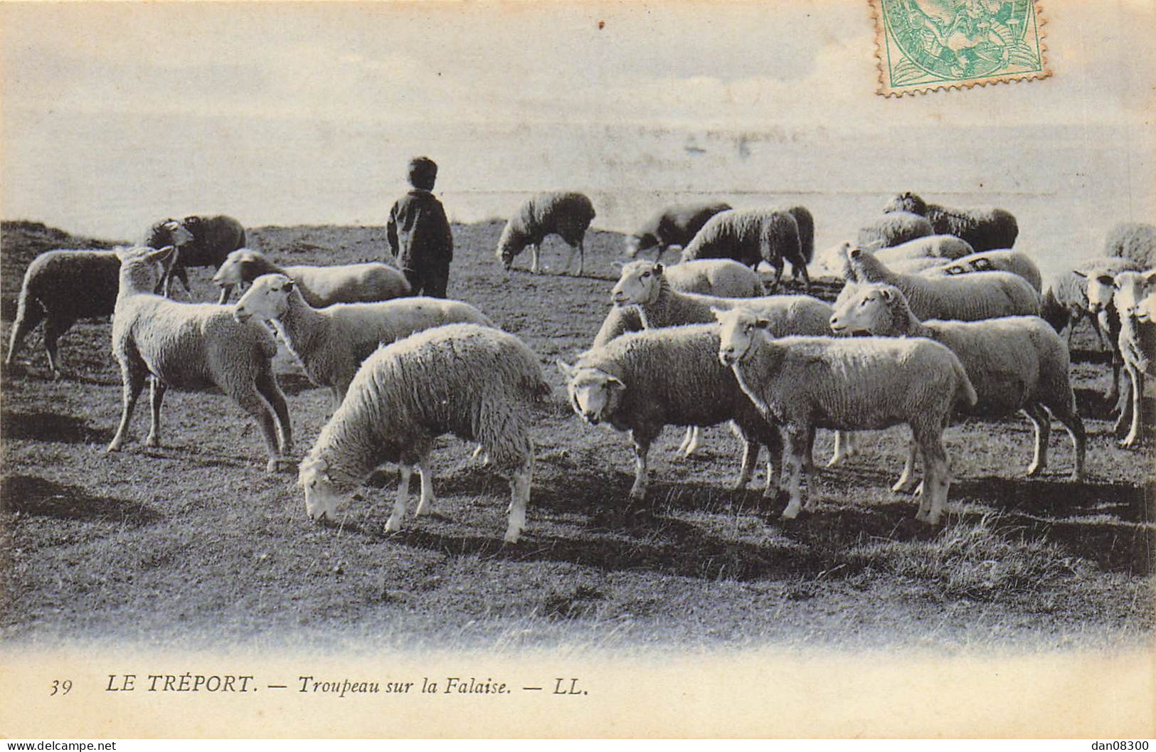 76 LE TREPORT TROUPEAU SUR LA FALAISE MOUTONS ET BERGER - Le Treport