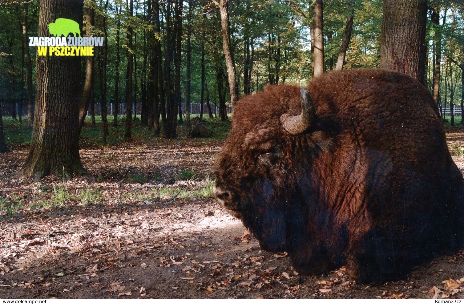 Zagroda Zubrow Psczyna (Wisent Garden, Zoo), PL - Wisent - Poland