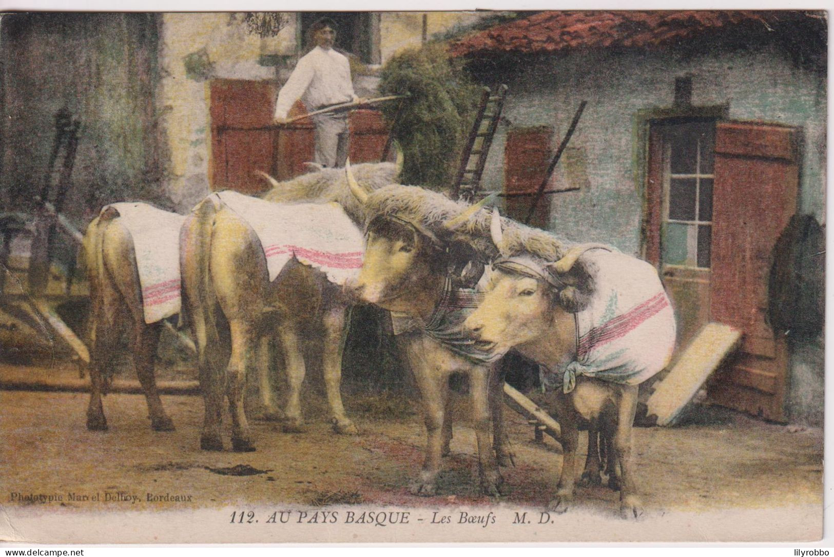 FRANCE -Au Pays BASQUE. Les Boeufs. - Used To The USA - Sonstige