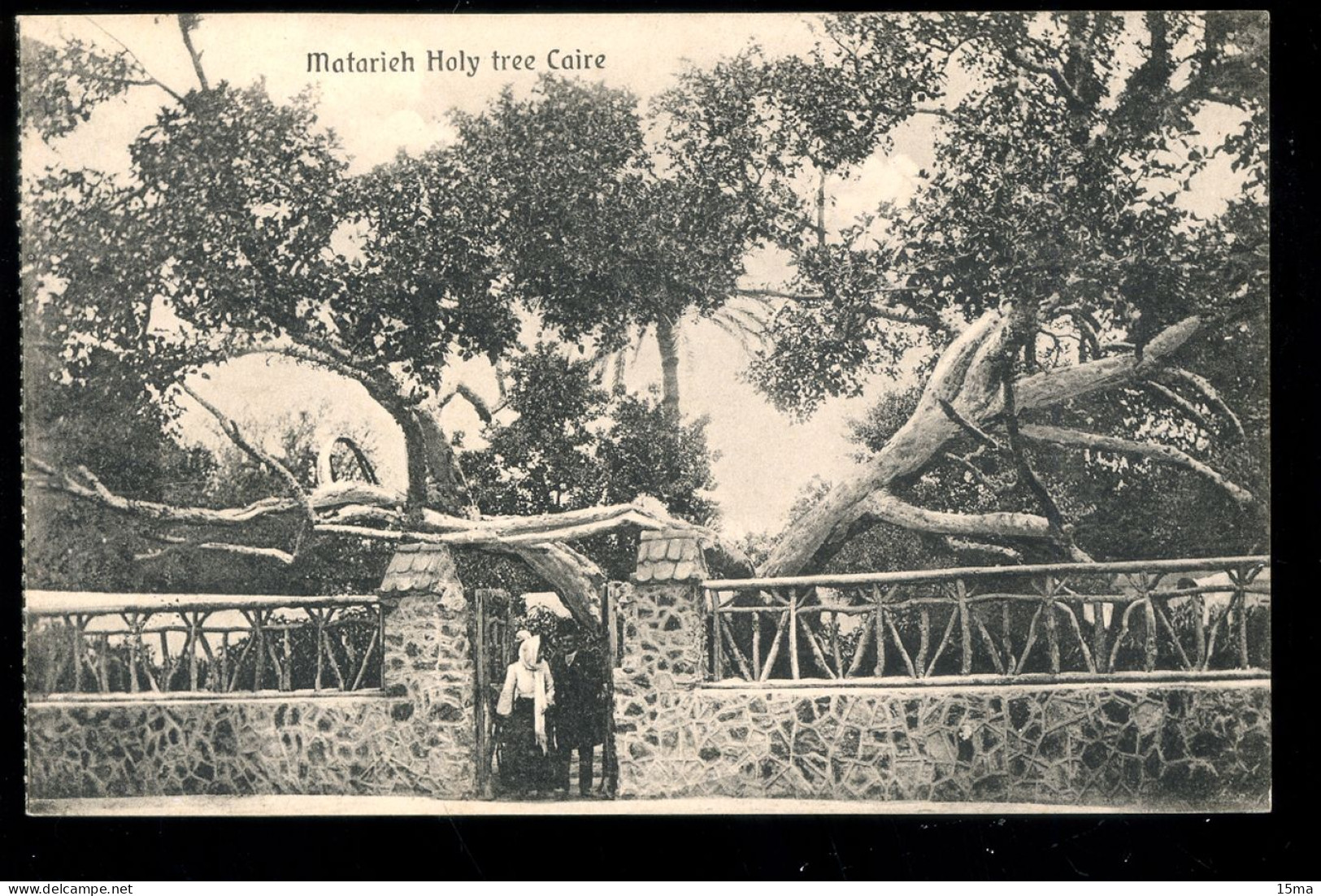 Matarieh Holy Tree Caire - El Cairo