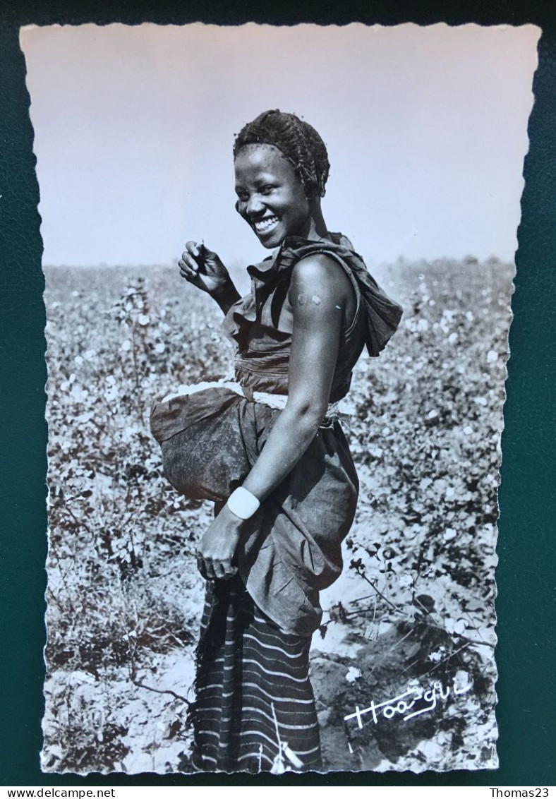 La Récolte Du Coton, Lib Pociello, N° 947 - Burkina Faso
