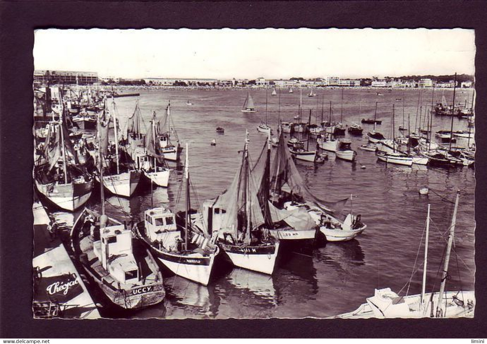 17 - ROYAN - LE PORT - BATEAUX DE PECHE  - Royan