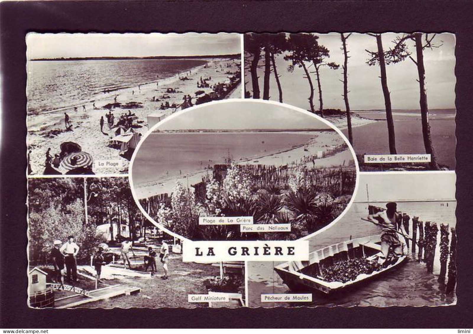 44 - LA GRIERE - MULTIVUES  - Autres & Non Classés