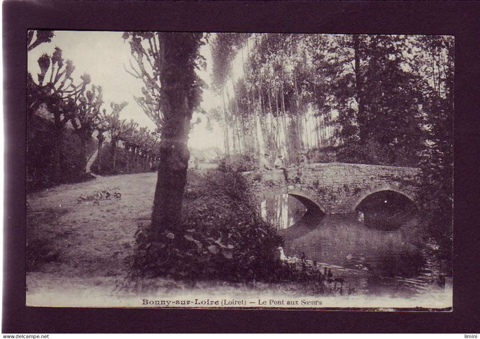 45 - BONNY-sur-LOIRE - LE PONT AUX SOEURS - ANIMÉE  - Other & Unclassified