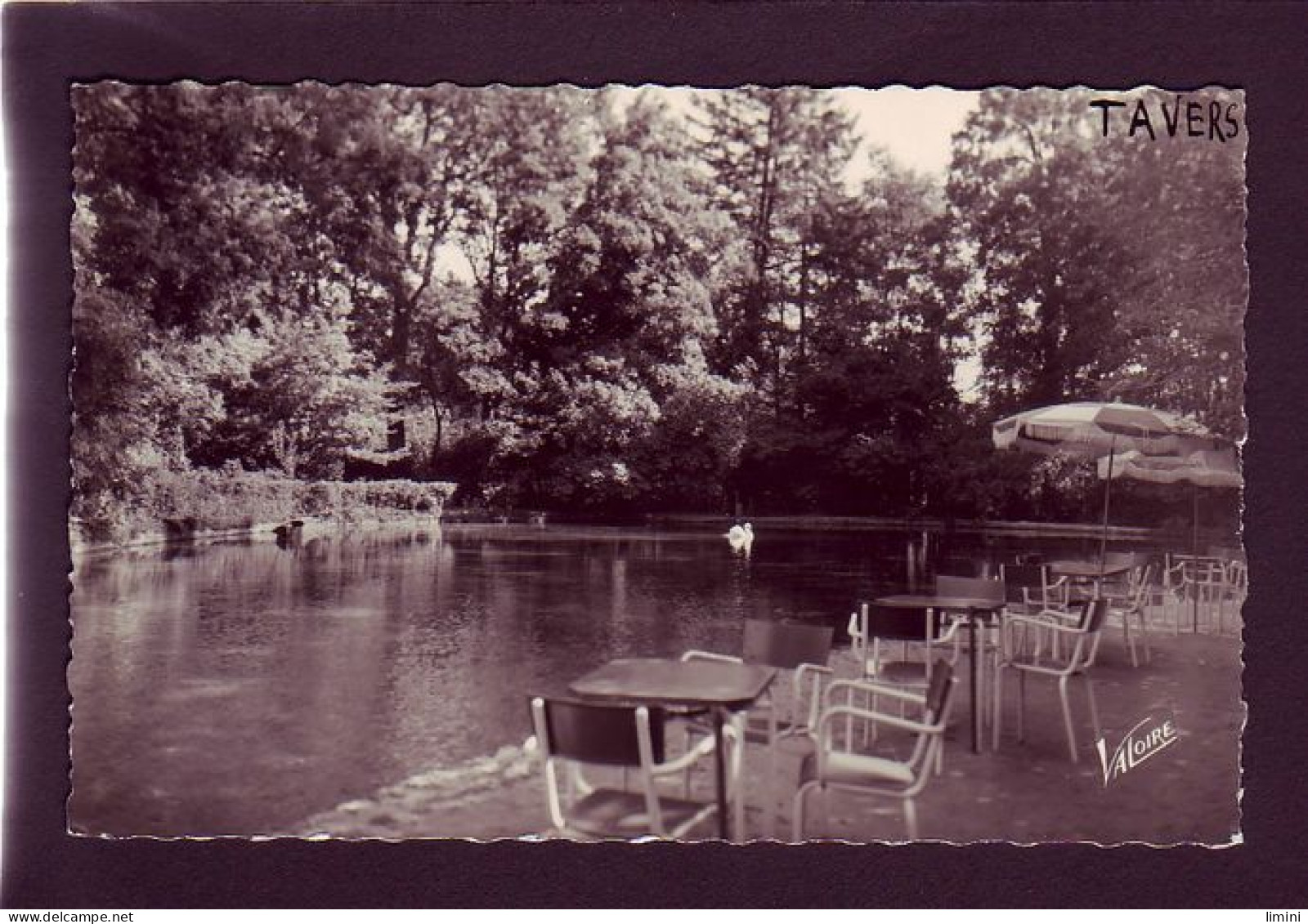 45 - TAVERS - LES EAUX BLEUES - ENVIRONS DE BEAUGENCY  - Otros & Sin Clasificación