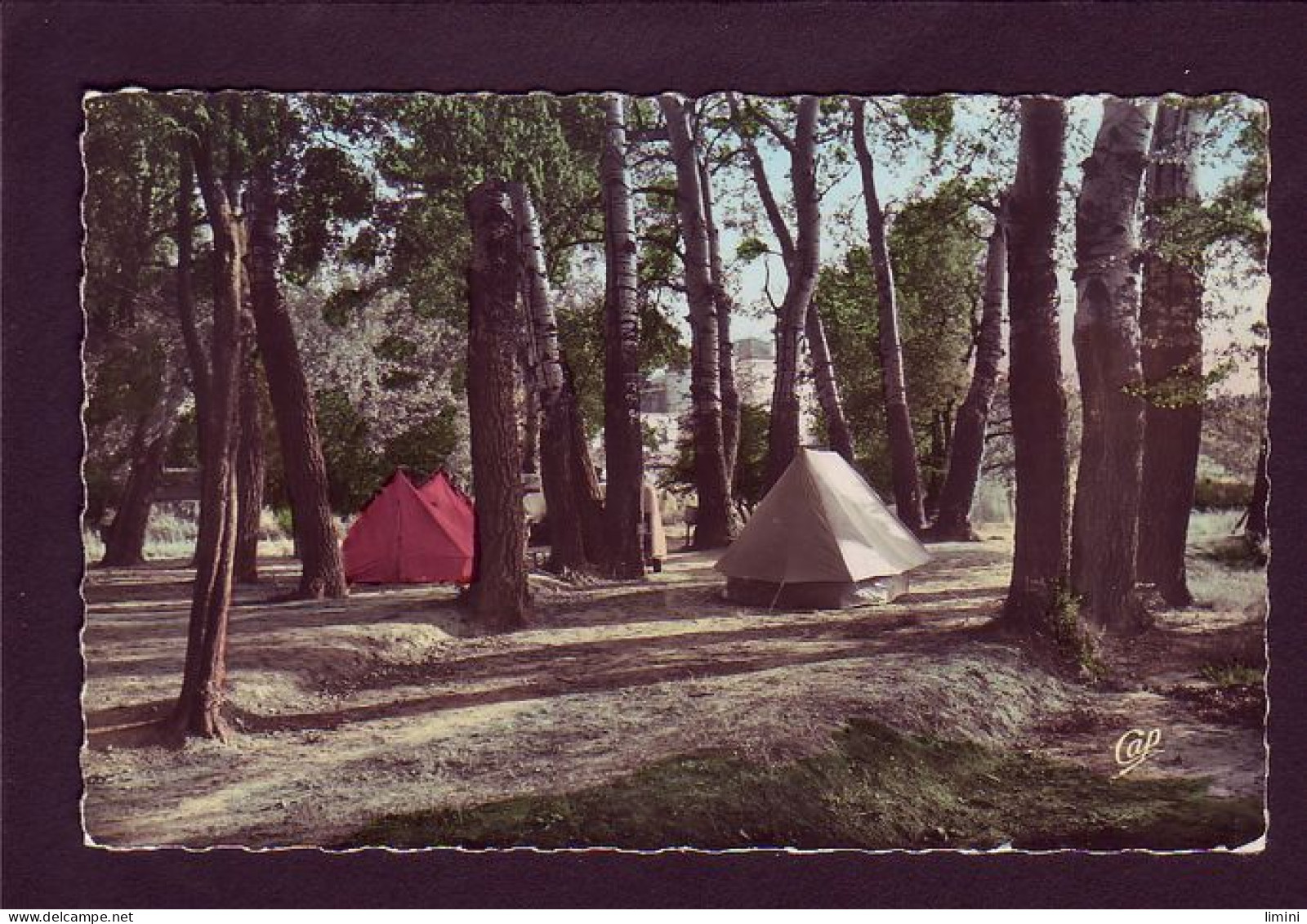 26 - MONTELIMAR - LE CAMPING DES ""DEUX SAISONS"" - UN COIN DU PARC   - Montelimar