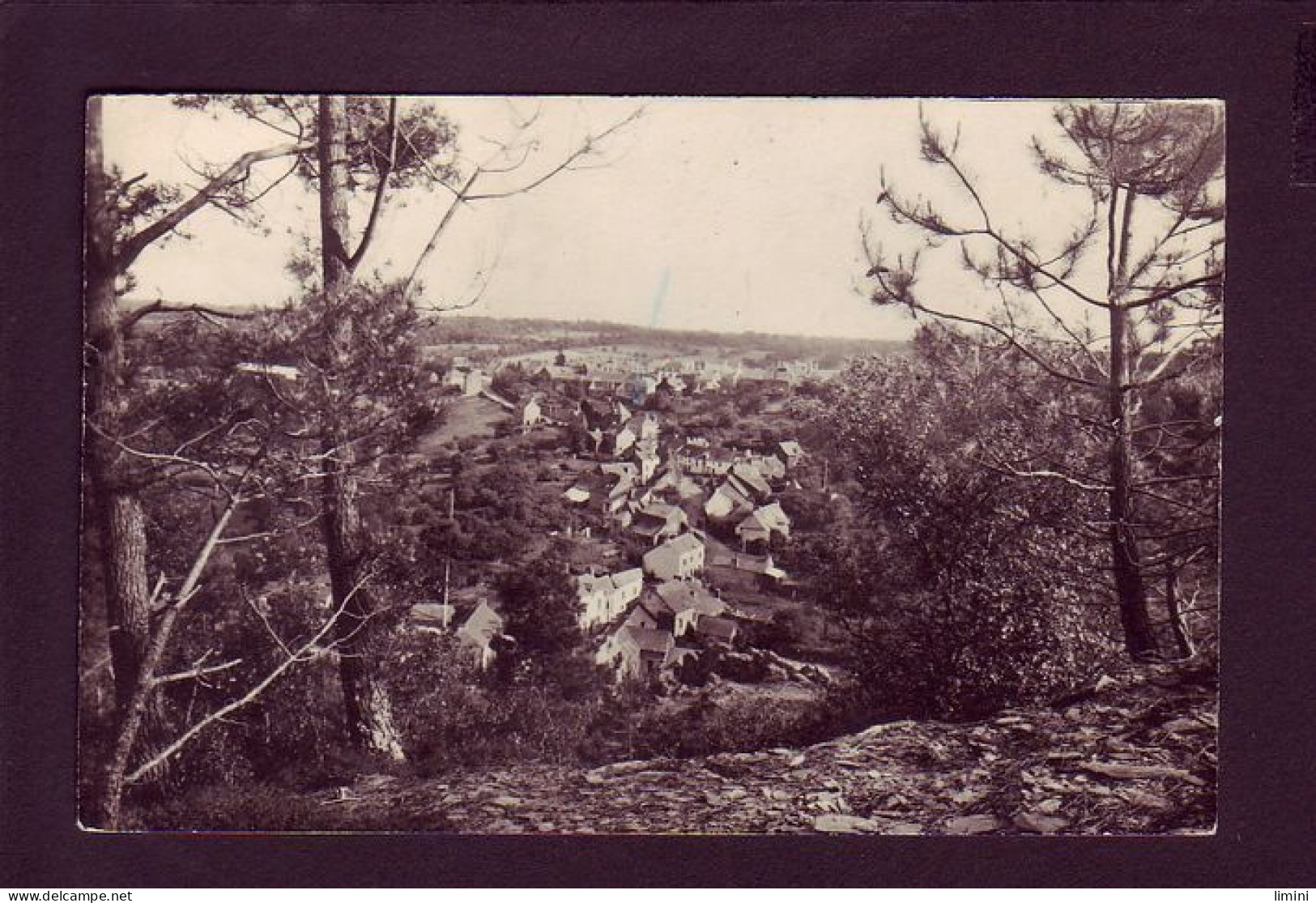 56 - ROCHEFORT-en-TERRE - LE VIEUX BOURG, VU DES GREES  - Rochefort En Terre