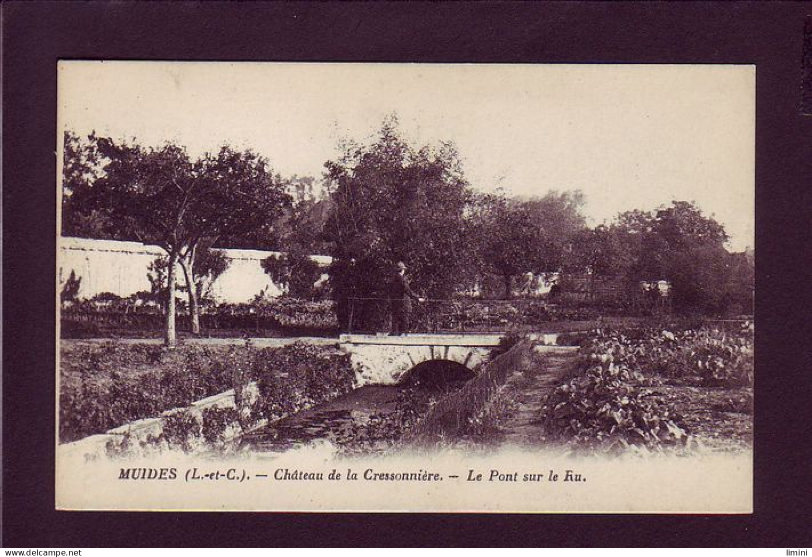 41 - MUIDES - CHATEAU DE LA CRESSONNIERE - LE PONT SUR LE RU - ANIMÉE   - Autres & Non Classés