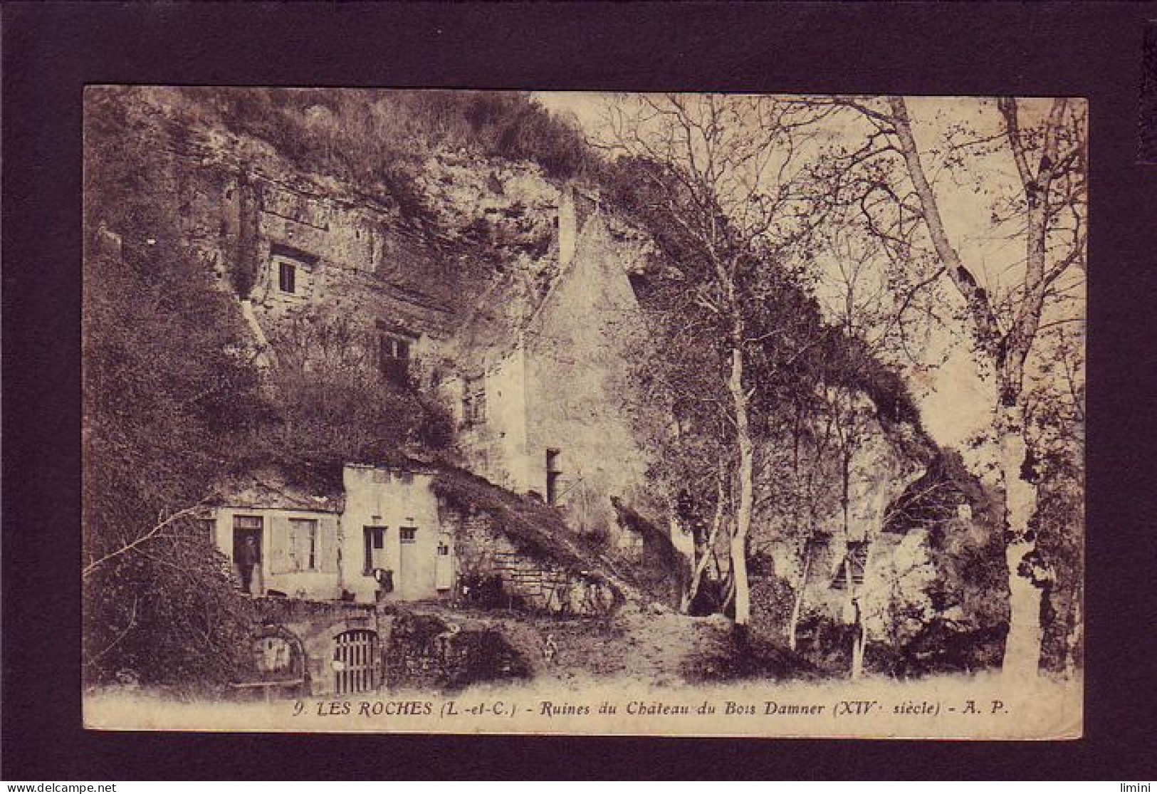 41 - LES ROCHES - RUINES DU CHATEAU DU BOIS DAMMER   - Autres & Non Classés