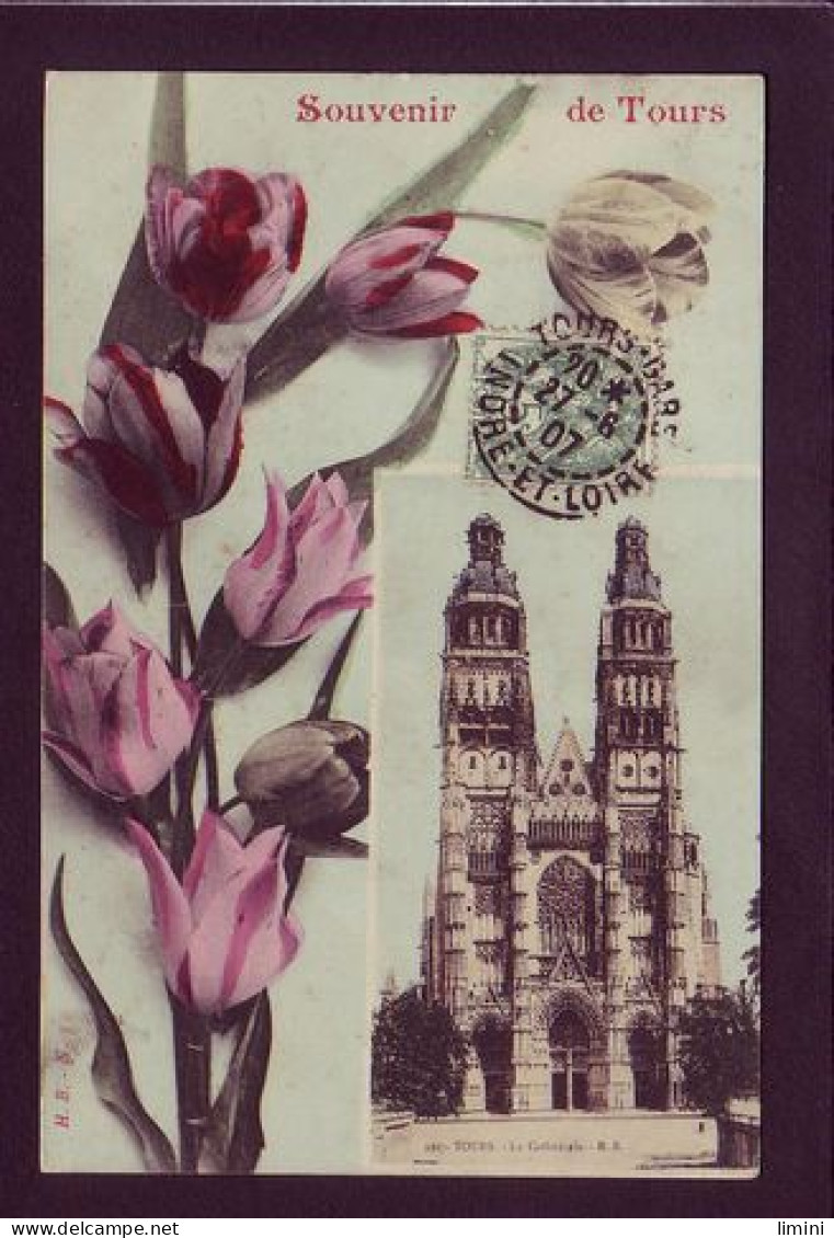 37 - TOURS - FLEURS - SOUVENIR DE TOURS - TULIPES  - Tours