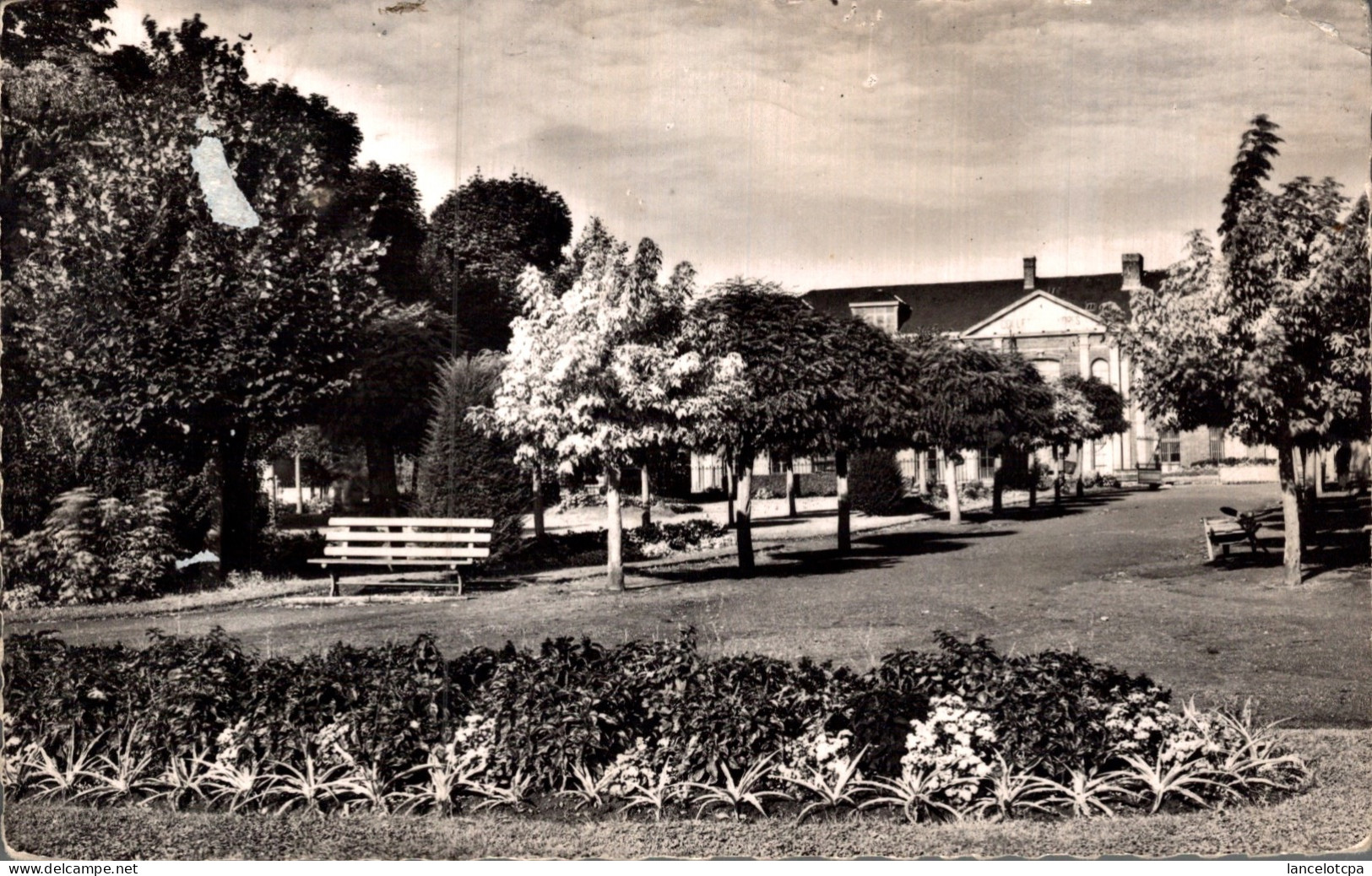 59 - HAZEBROUCK / JARDIN PUBLIC - ALLEE CENTRALE - Hazebrouck