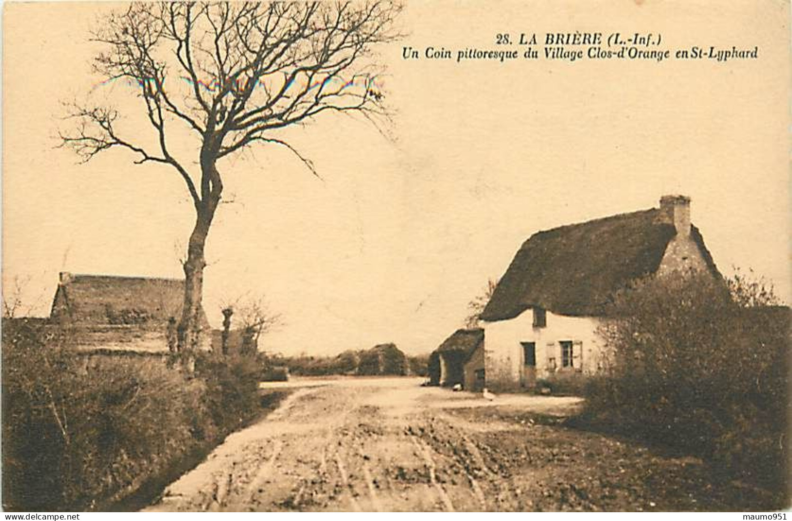 44 LA BRIERE - Un Coin Pittoresque Du Village Clos D'Orange En St Lyphard - Other & Unclassified