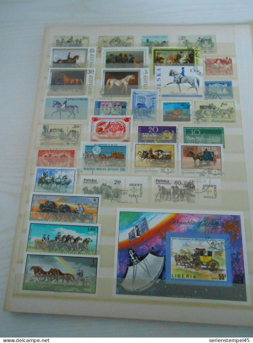 Lot Mit Briefmarken Motiv Pferde 1 - Paarden