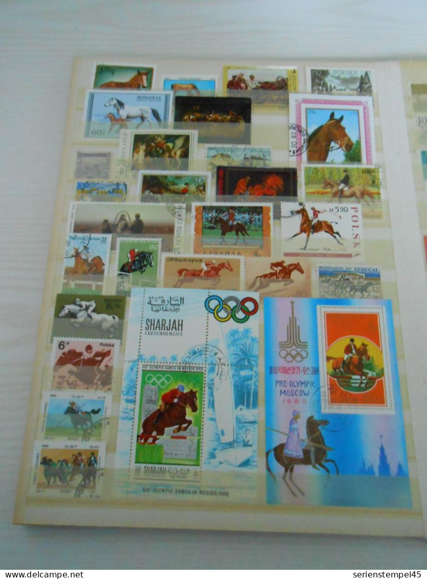 Lot Mit Briefmarken Motiv Pferde 3 - Paarden