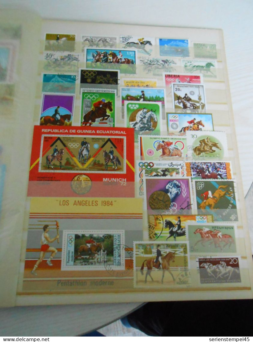 Lot Mit Briefmarken Motiv Pferde 4 - Paarden