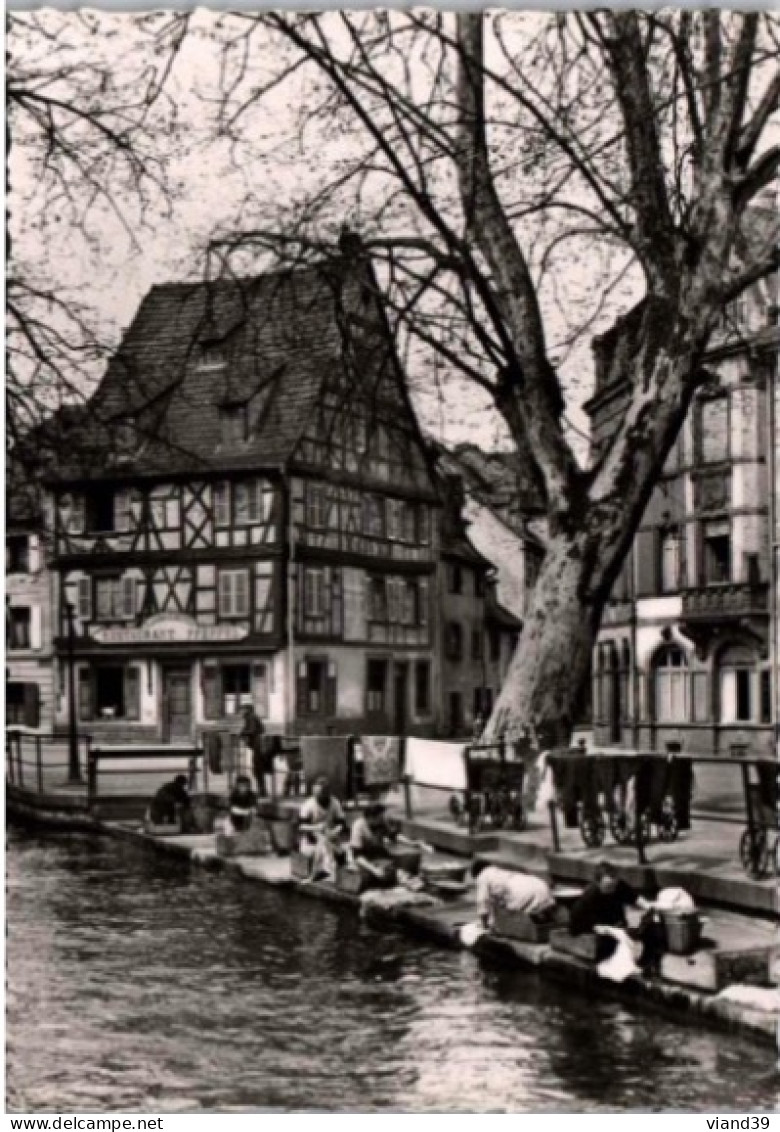 COLMAR. -  Le Lavoir De La Place De La Sinn ( Lavandières )  Restaurant Pfeffel -   Non Circulée.  Photo Véritable. - Colmar