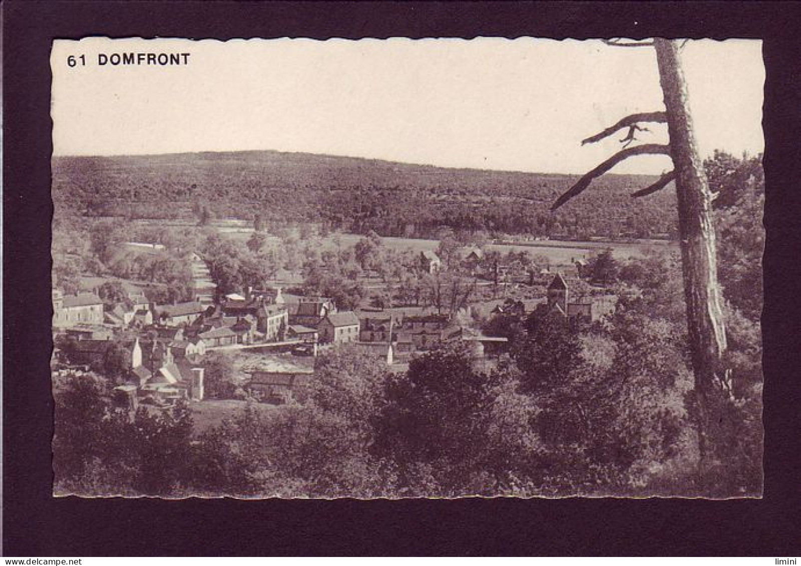 61 - DOMFRONT - LE MONT MARGANTIN -  - Domfront