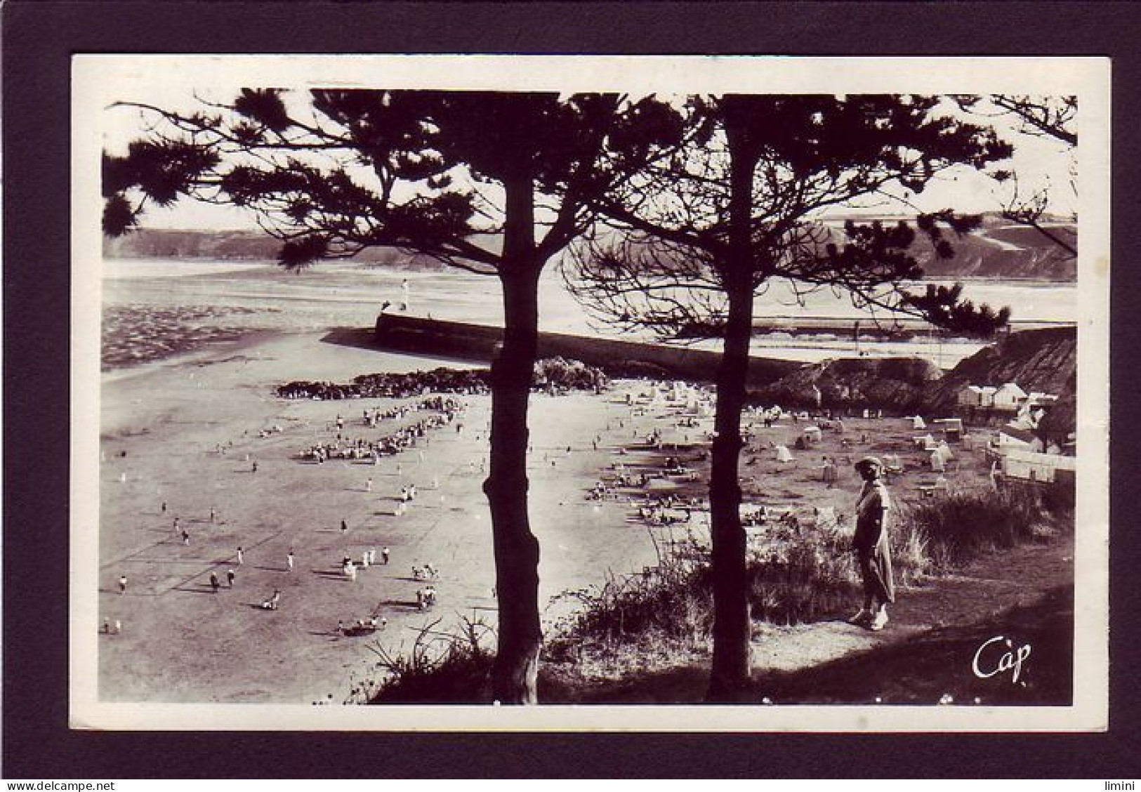 22 - BINIC - LA PLAGE VUE A TRAVERS LES PINS - ANIMÉE -  - Binic