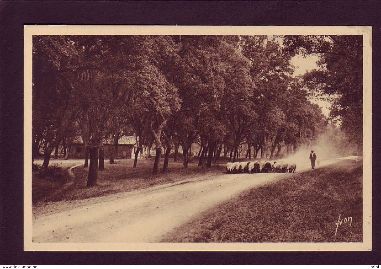 40 - LANDES DE GASCOGNE - LE BERGER ET SES MOUTONS - SUR LES ROUTES POUDREUSES - ANIMÉE -  - Altri & Non Classificati