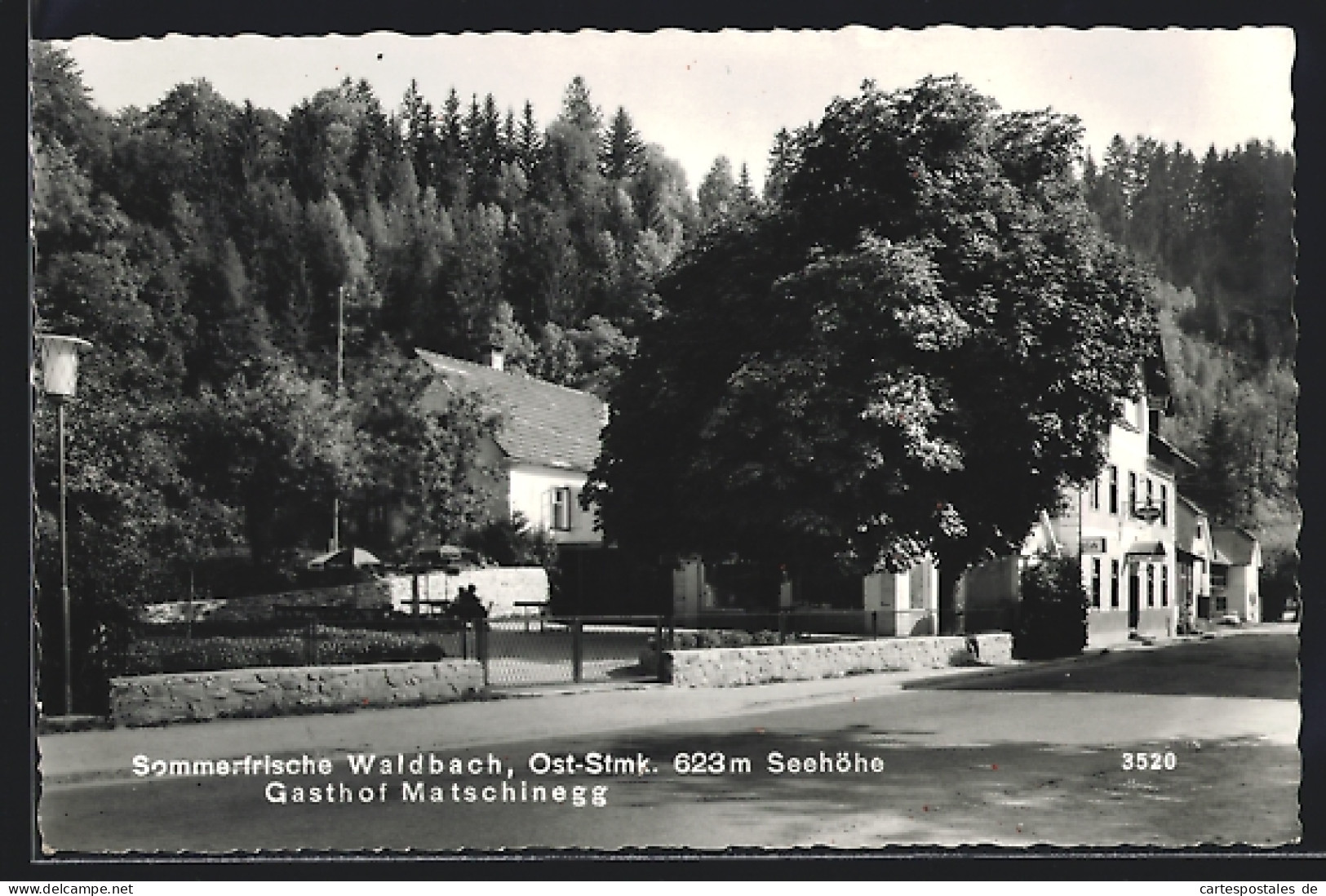 AK Waldbach, Gasthof Matschinegg  - Sonstige & Ohne Zuordnung