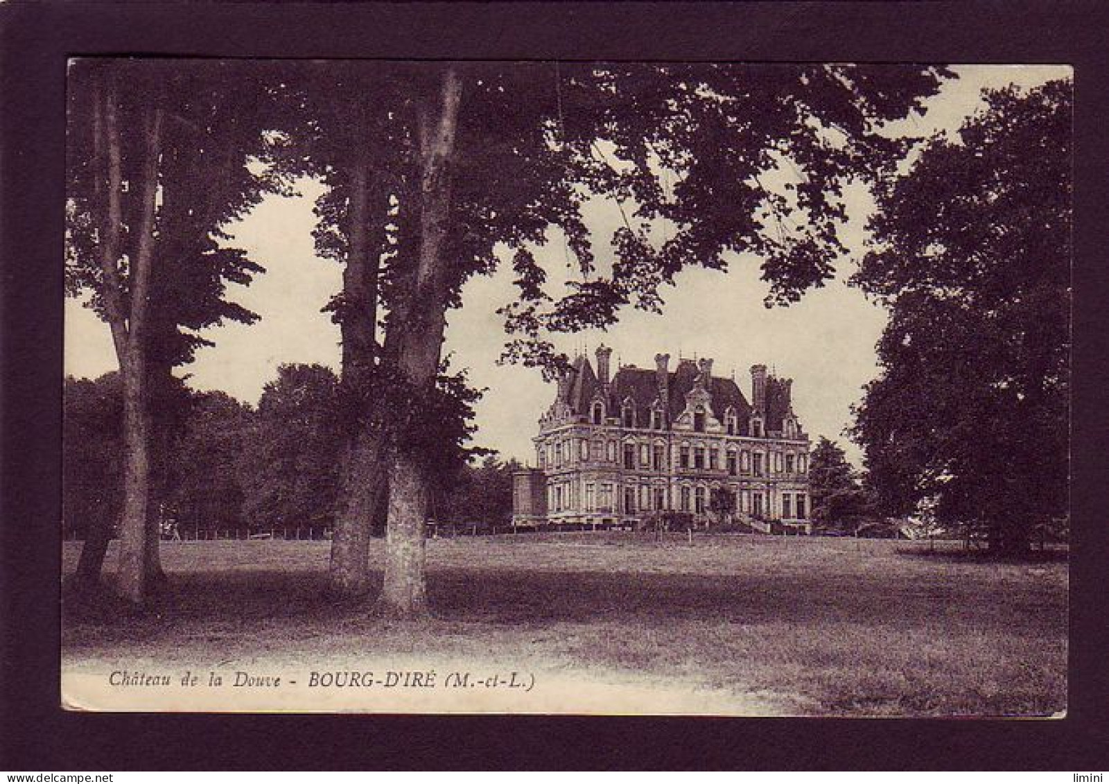 49 - BOURG-D'IRE - CHATEAU DE LA DOUVE -  - Sonstige & Ohne Zuordnung