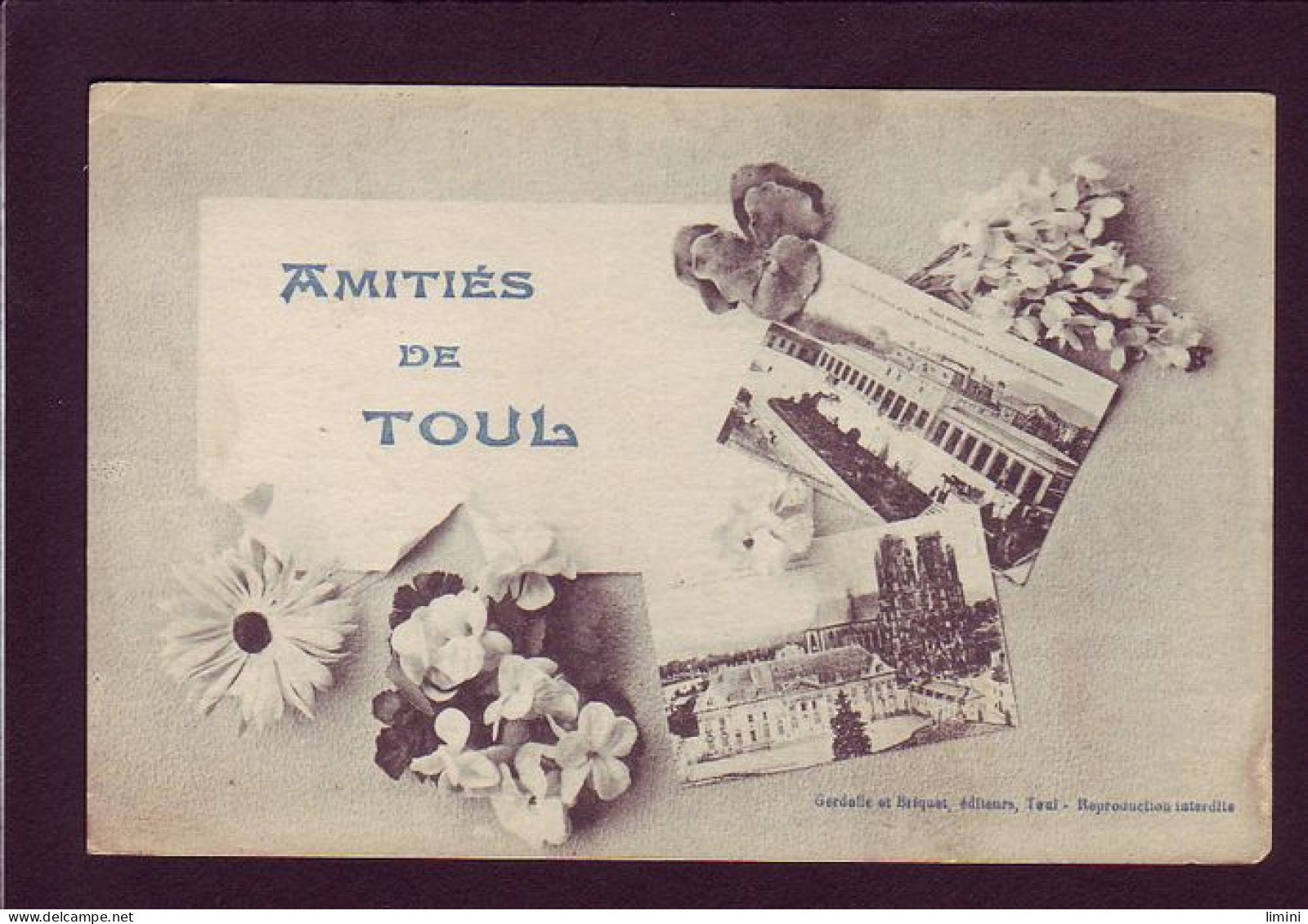 54 - TOUL - FLEURS - AMITIES DE TOUL -  - Toul
