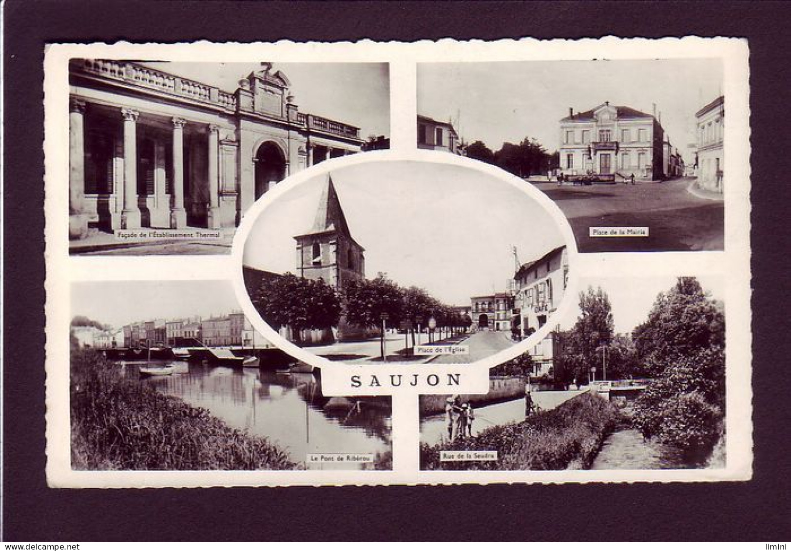 17 - SAUJON - MULTIVUES -  - Saujon