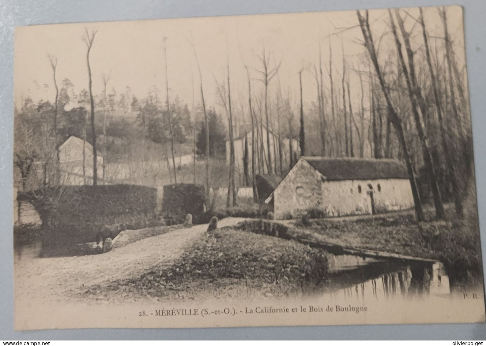 DPT 91 - Méréville - La Californie Et Le Bois De Boulogne - Non Classés