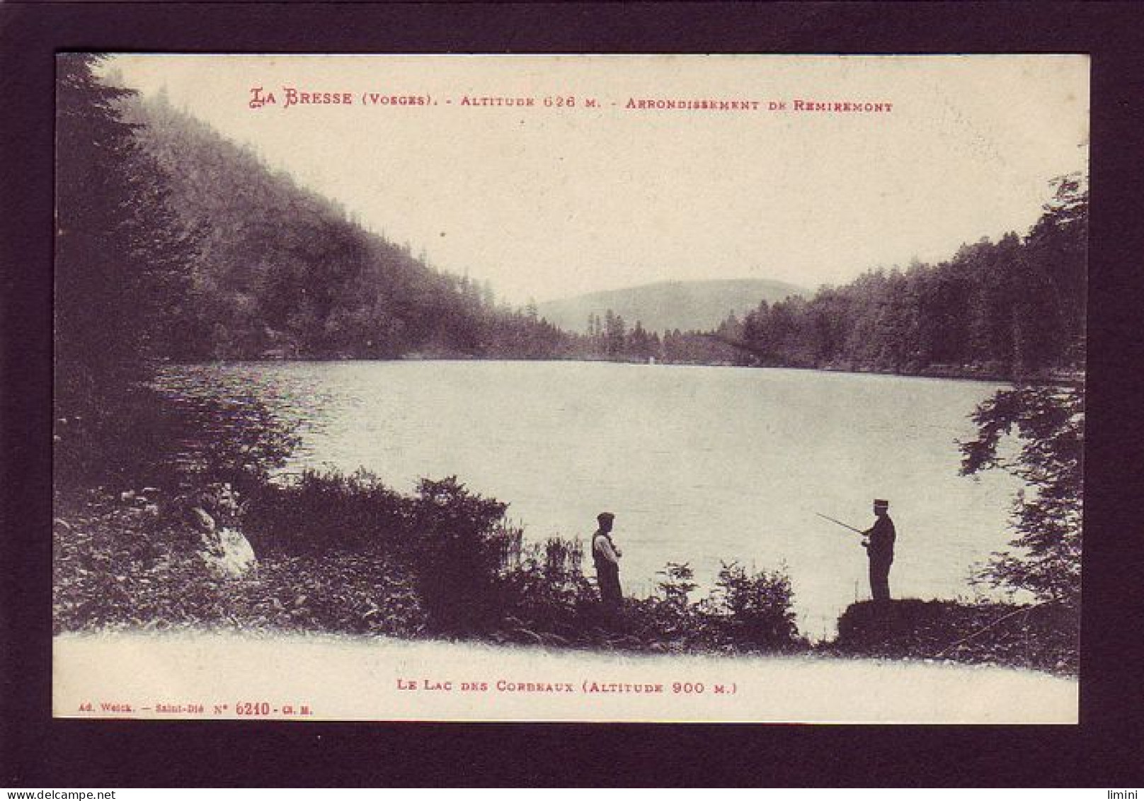 88 - LA BRESSE - LE LAC DES CORBEAUX - ANIMÉE -  - Autres & Non Classés