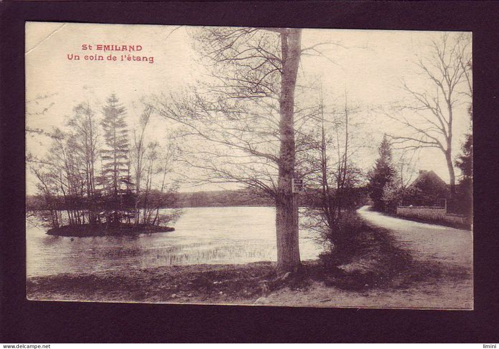 73 - SAINT-EMILAND - UN COIN DE L'ETANG -  - Autres & Non Classés