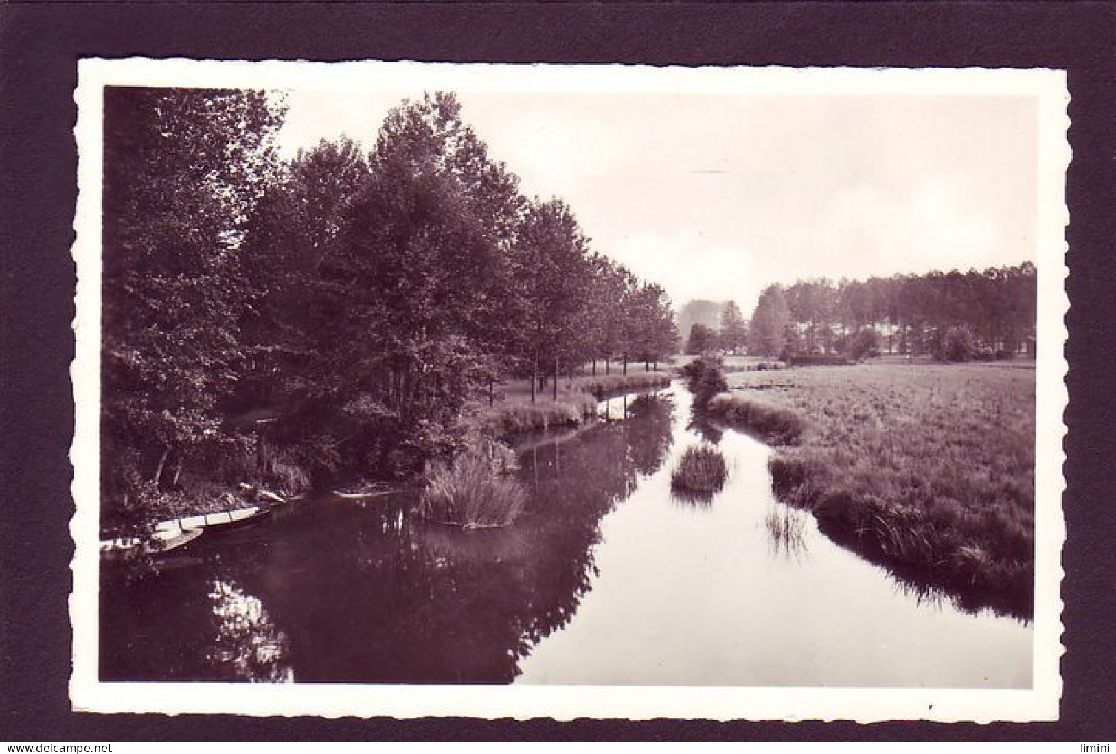 72 - BESSE-en-BRAYE - LES BORDS DE LA BRAYE - LA BAIGNADE -  - Altri & Non Classificati