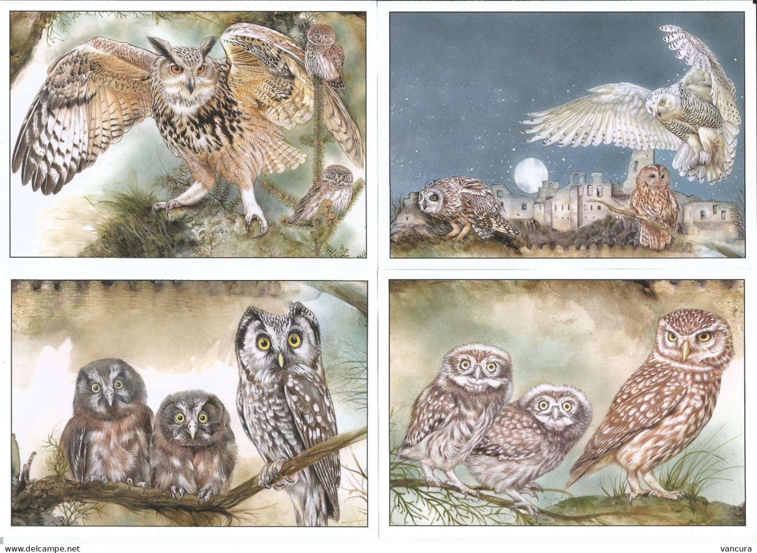 Cards 853-6 Czech Republic European Owls 2015 - Oiseaux